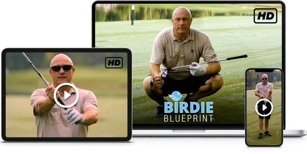 Birdie Blueprint
